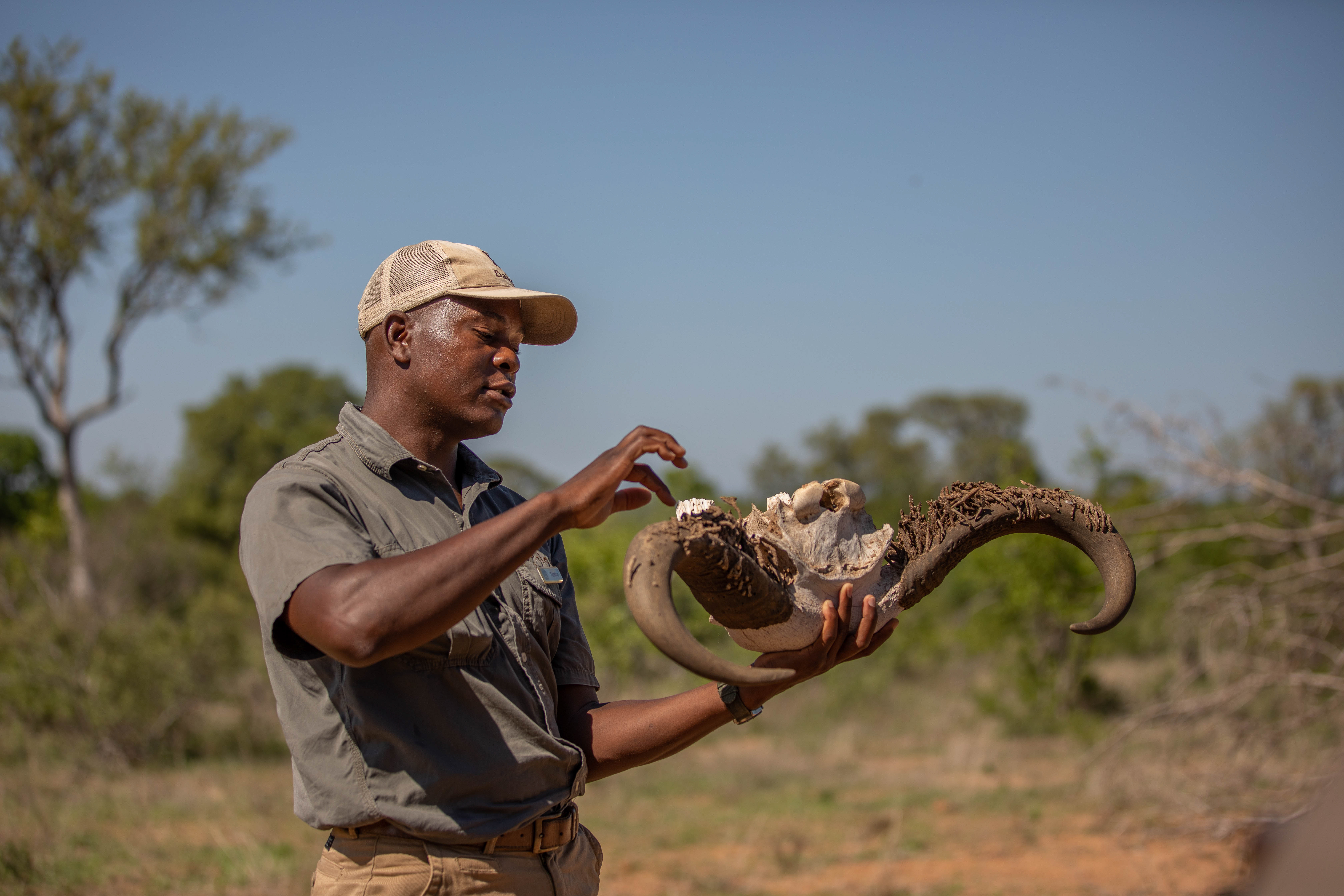 Bateleur Safari Camp thumbnail 11